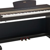 Arius Yamaha YDP-151 